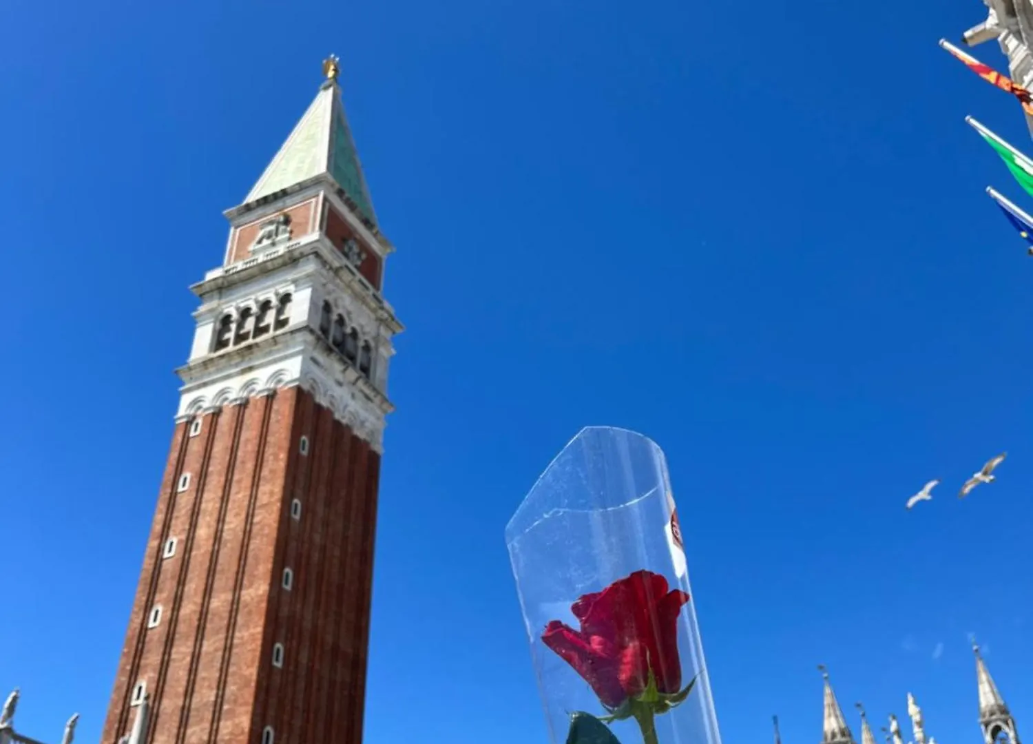 Ninamar Giudecca Venice House